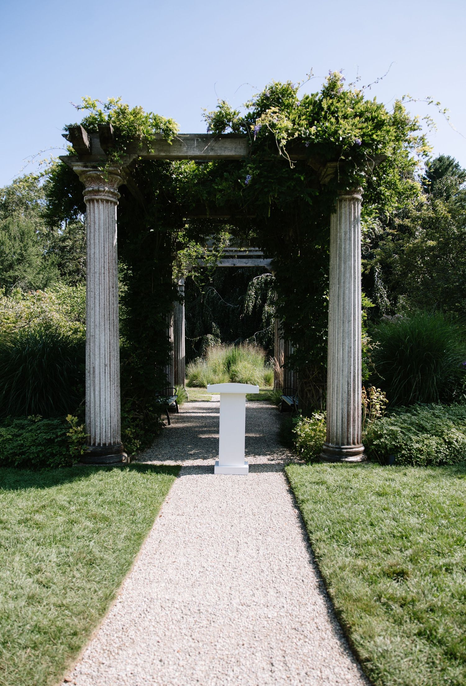 Classical white columns with vine-covered pergola create an elegant garden walkway.