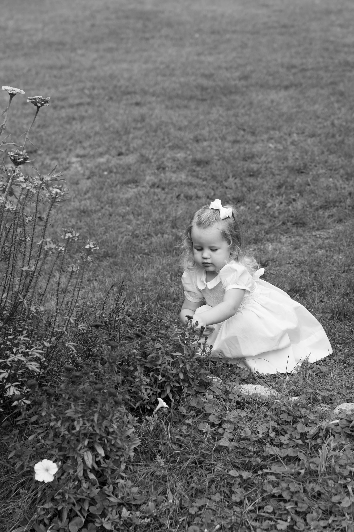 Black and white photos of a small child in a white dress sitting among flowers in a garden.