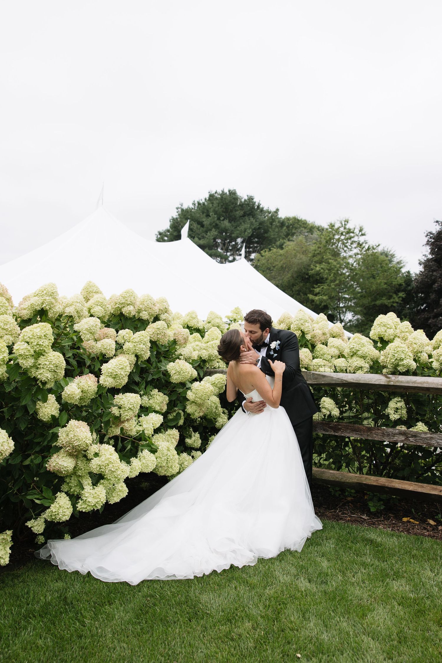 Bride and groom share a romantic kiss beside blooming white hydrangeas at outdoor wedding.