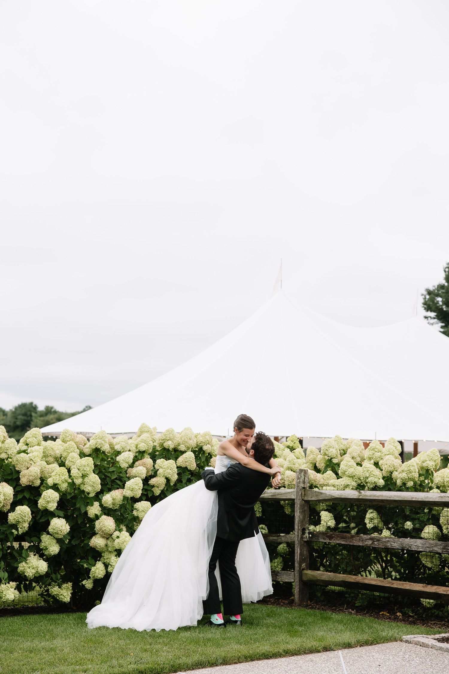 Groom lifting bride in white wedding gown near blooming hydrangeas with a white tent in the background.