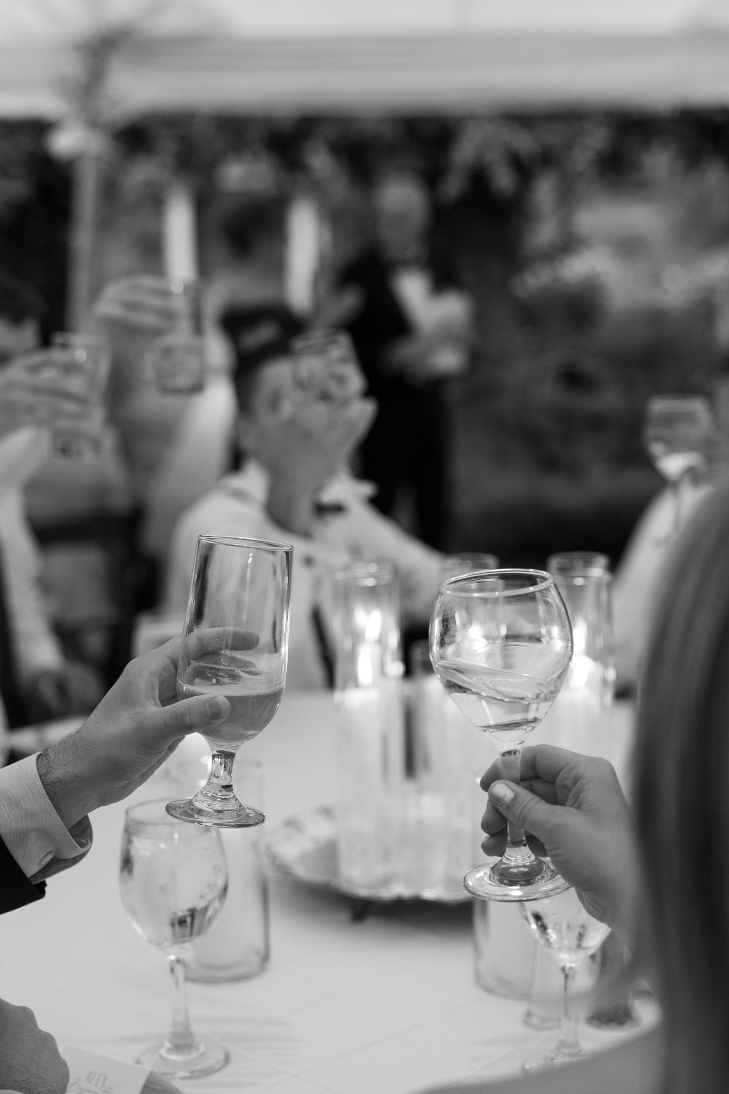 Wedding guests raise their wine glasses in a celebratory toast.