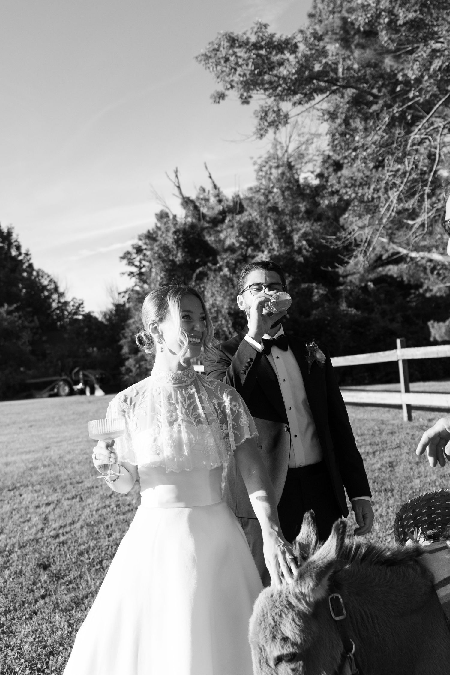 Black and white photo of bride and groom toasting with champagne beside a donkey at an outdoor farm wedding.