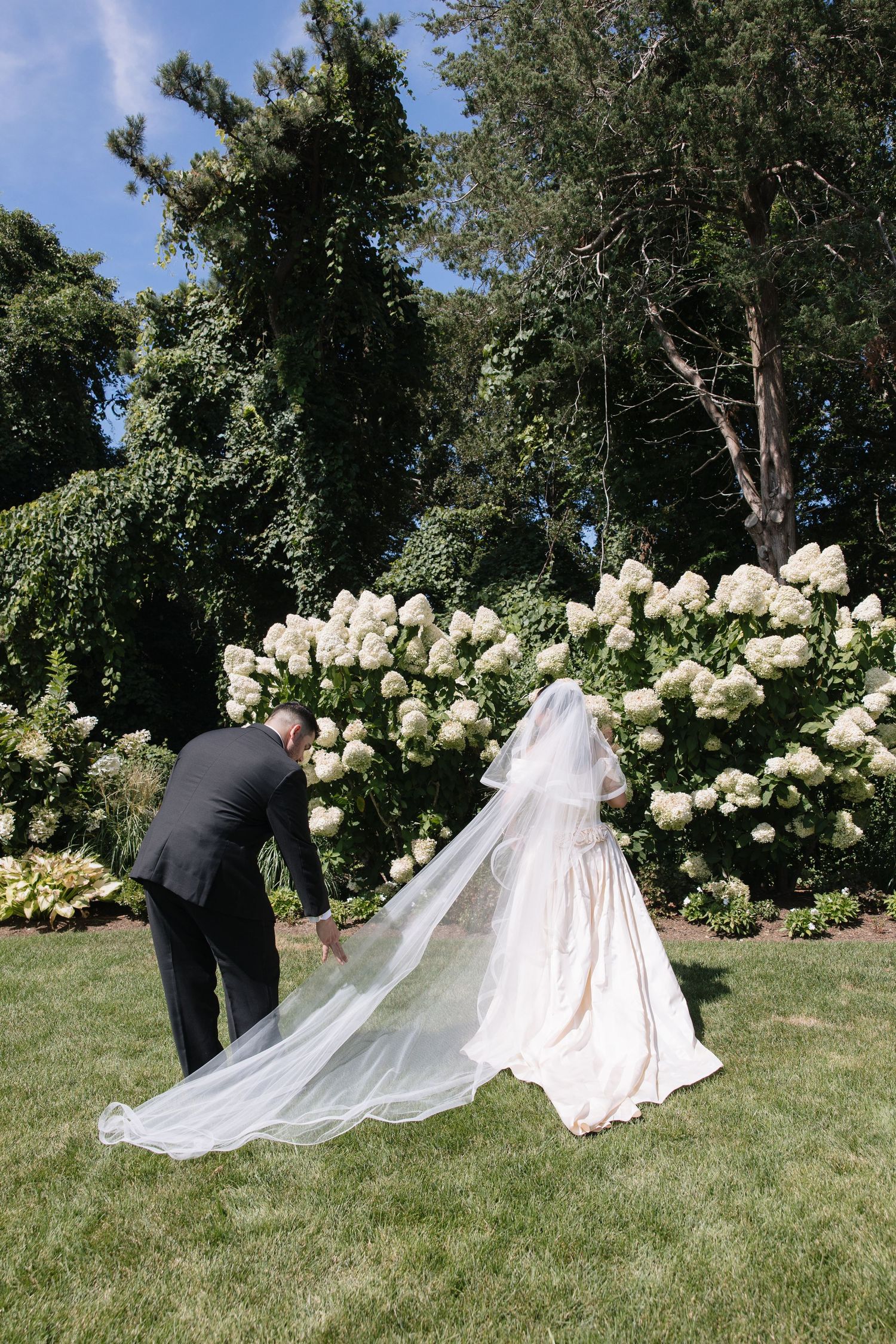 Bride in white gown and veil stands in garden with groom adjusting her train near blooming hydrangeas.