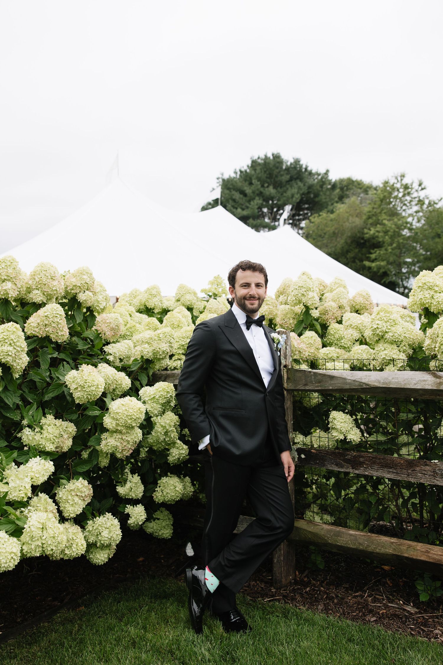 Dapper groom in black tuxedo poses beside white hydrangeas near a wooden fence and wedding tent.