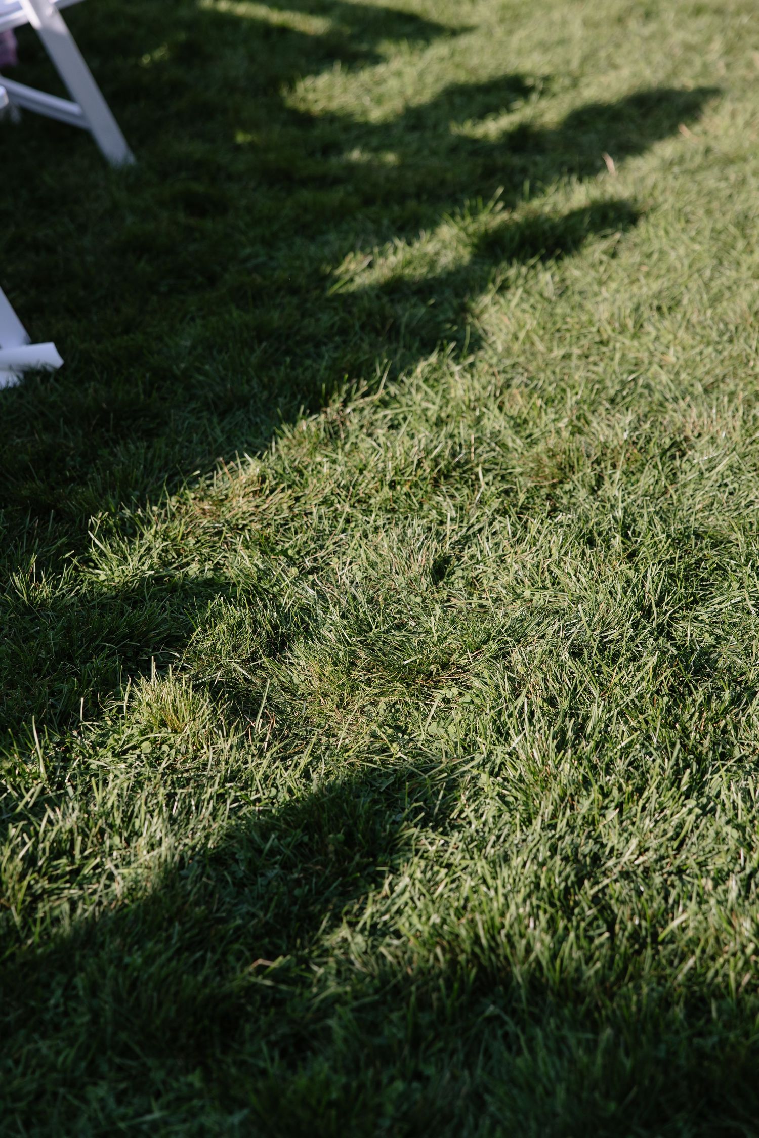Sunlight casting shadows on lush green grass during an outdoor event.