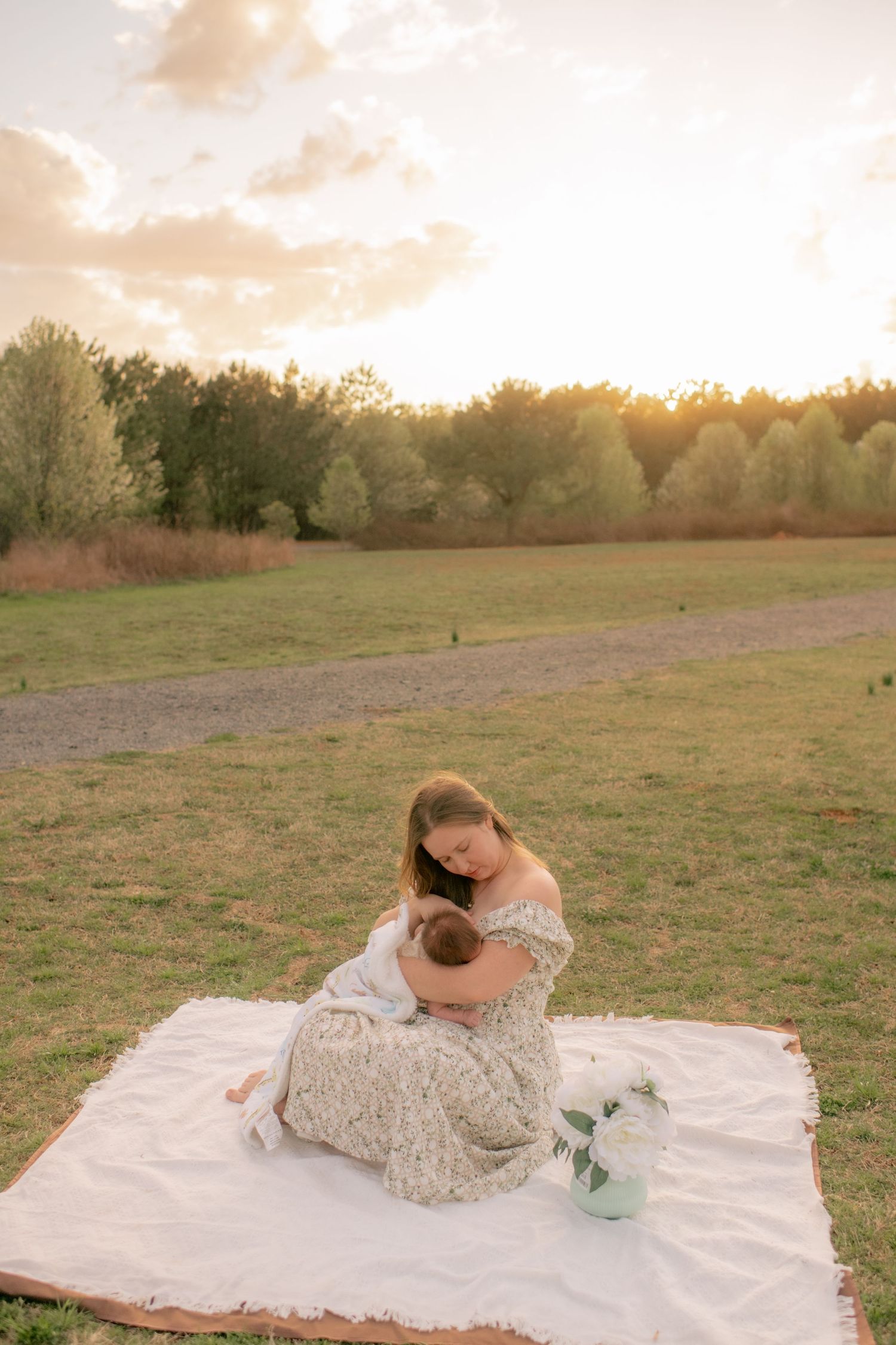 A picnic blanket set up in a grassy field at golden hour with a vase of flowers and a romantic scene at sunset.