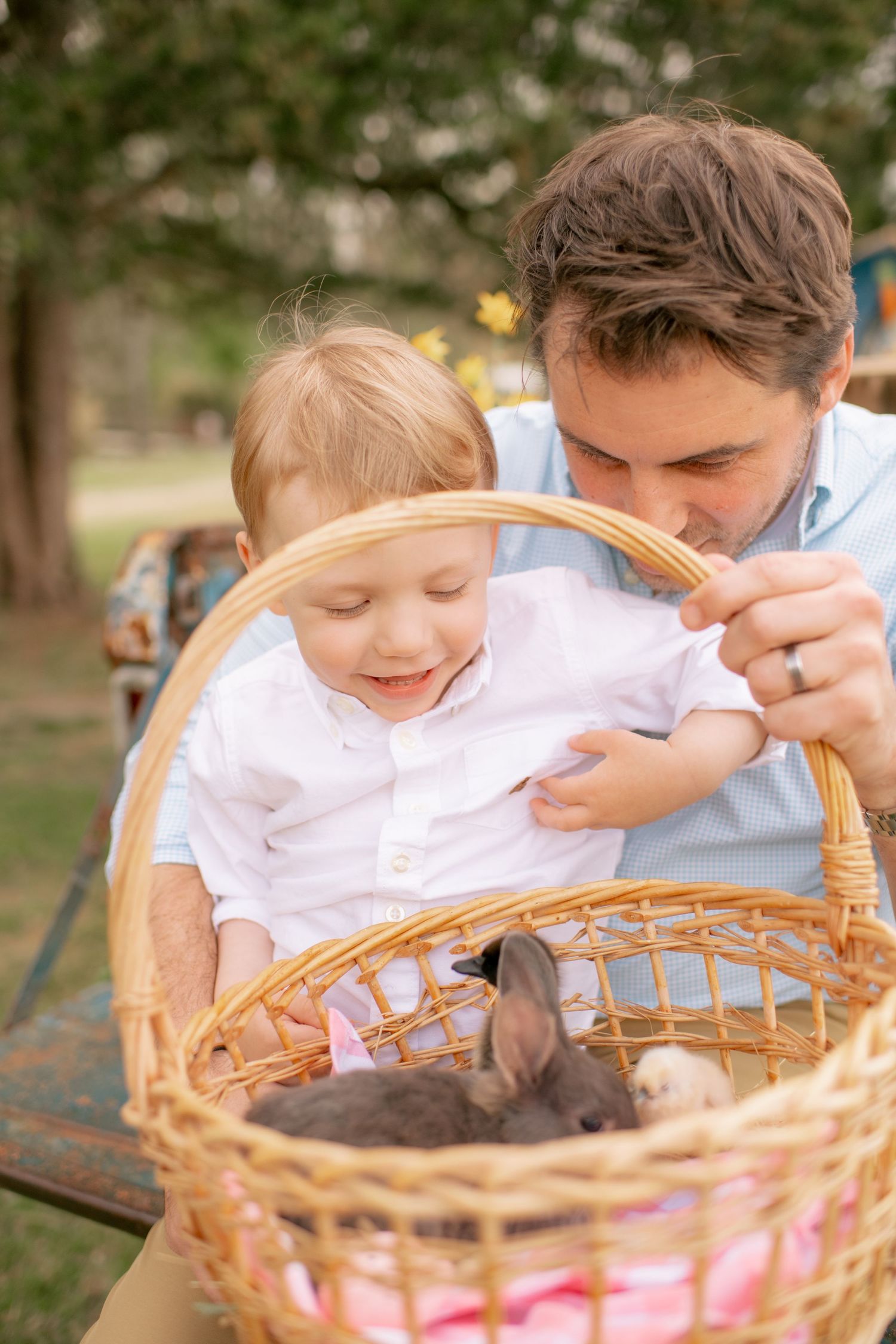 A joyful moment as a grey bunny sits in a wicker basket with pink lining during an outdoor family gathering.