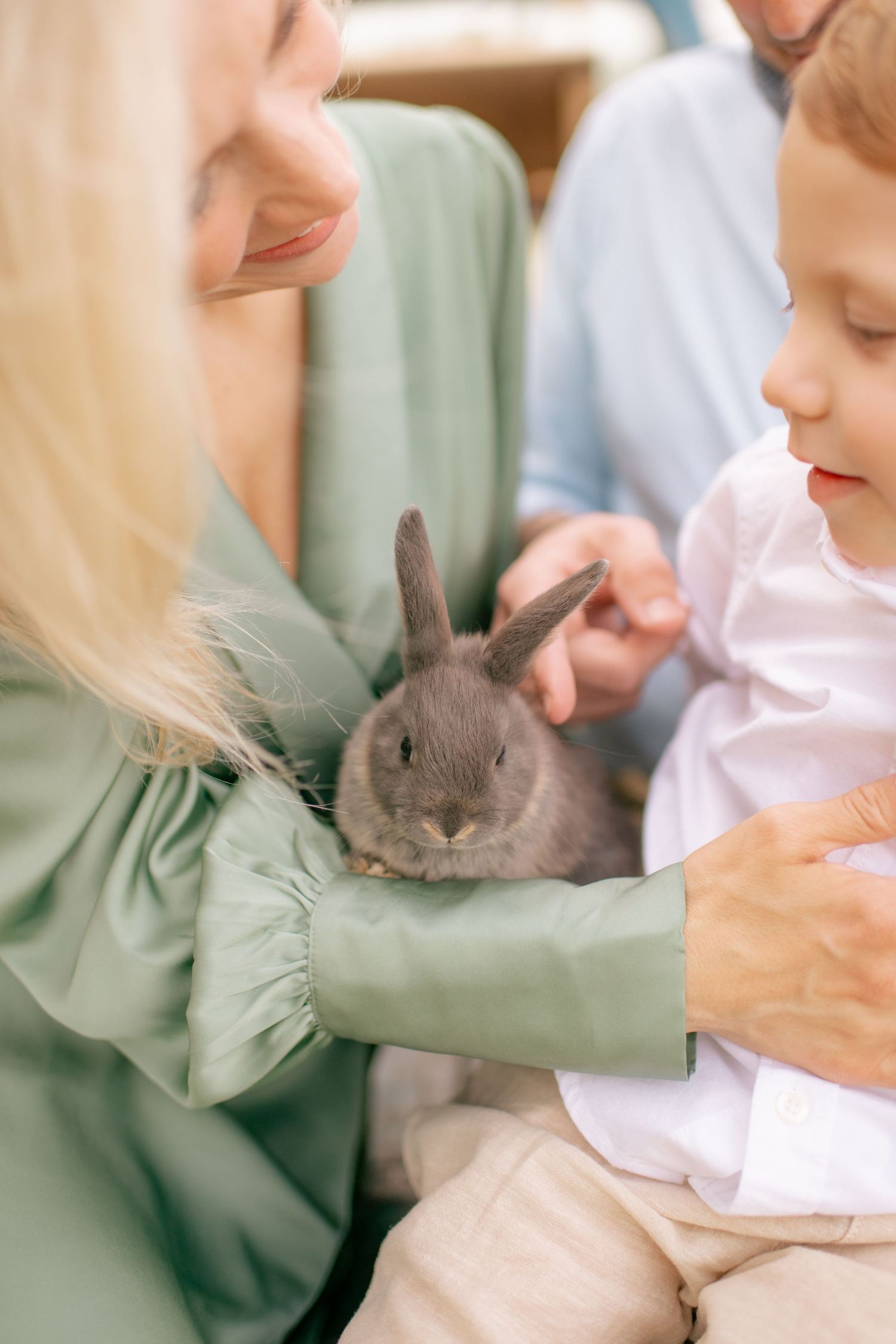 A small grey bunny being gently petted while resting on someone wearing a mint green outfit.