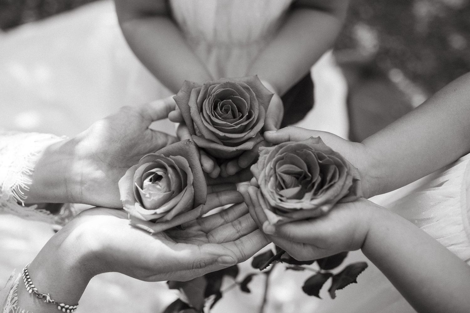 Black and white image of hands holding three roses together.