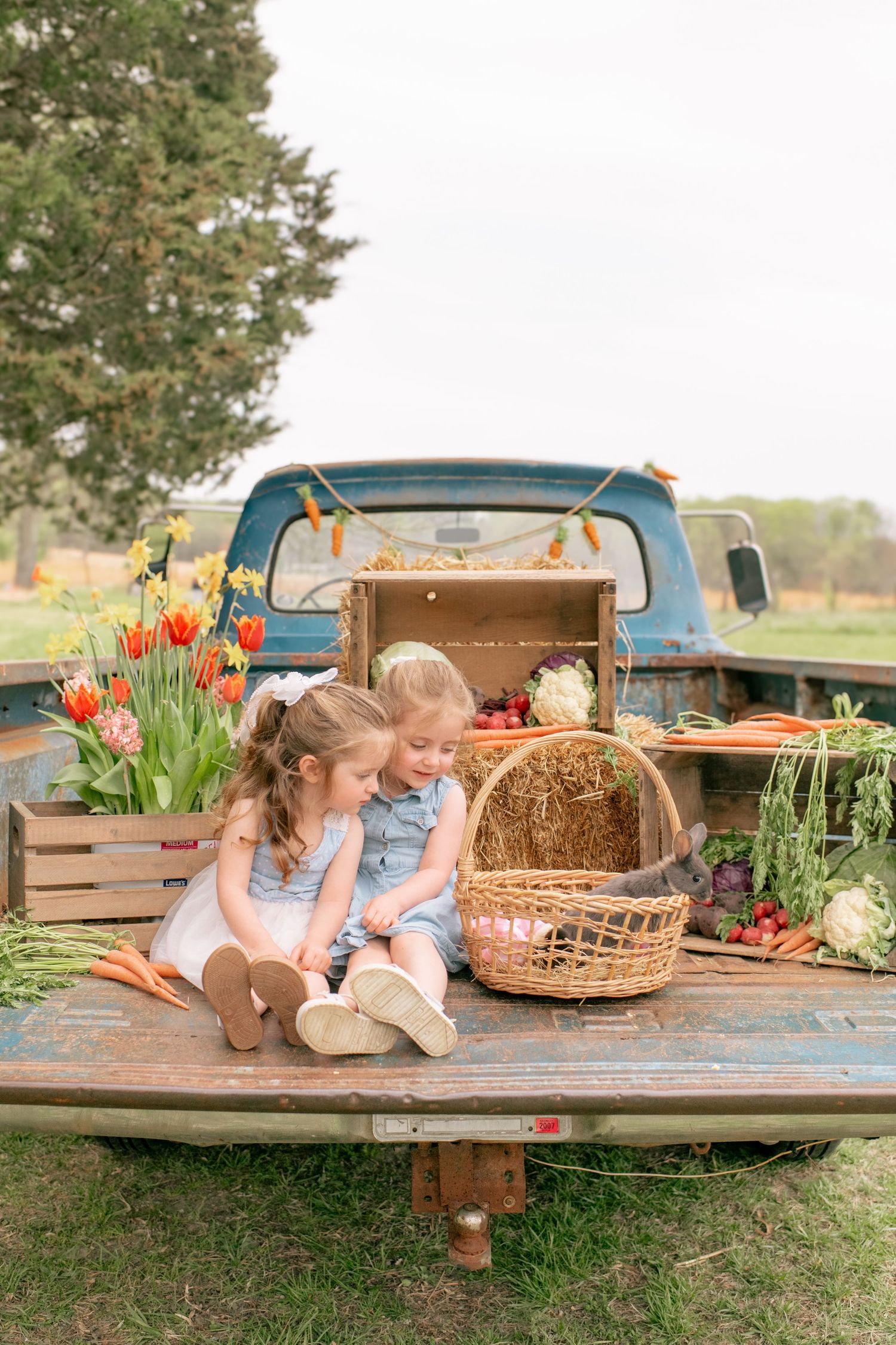 Vintage blue pickup truck decorated with wooden crates, tulips and rustic decor for a spring photo session.