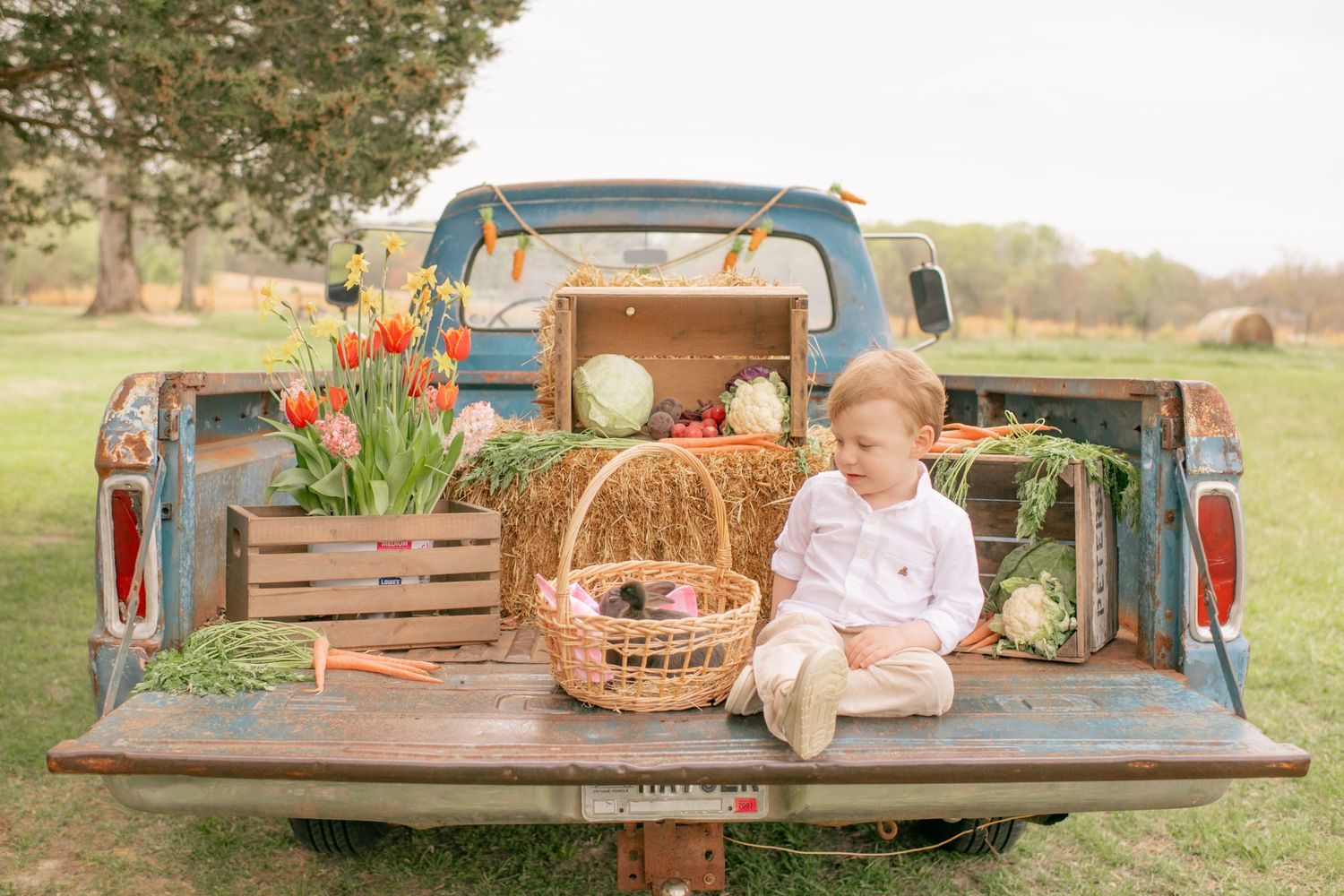 A rustic vintage blue truck tailgate displays spring tulips in wooden crates with a country-style basket arrangement.