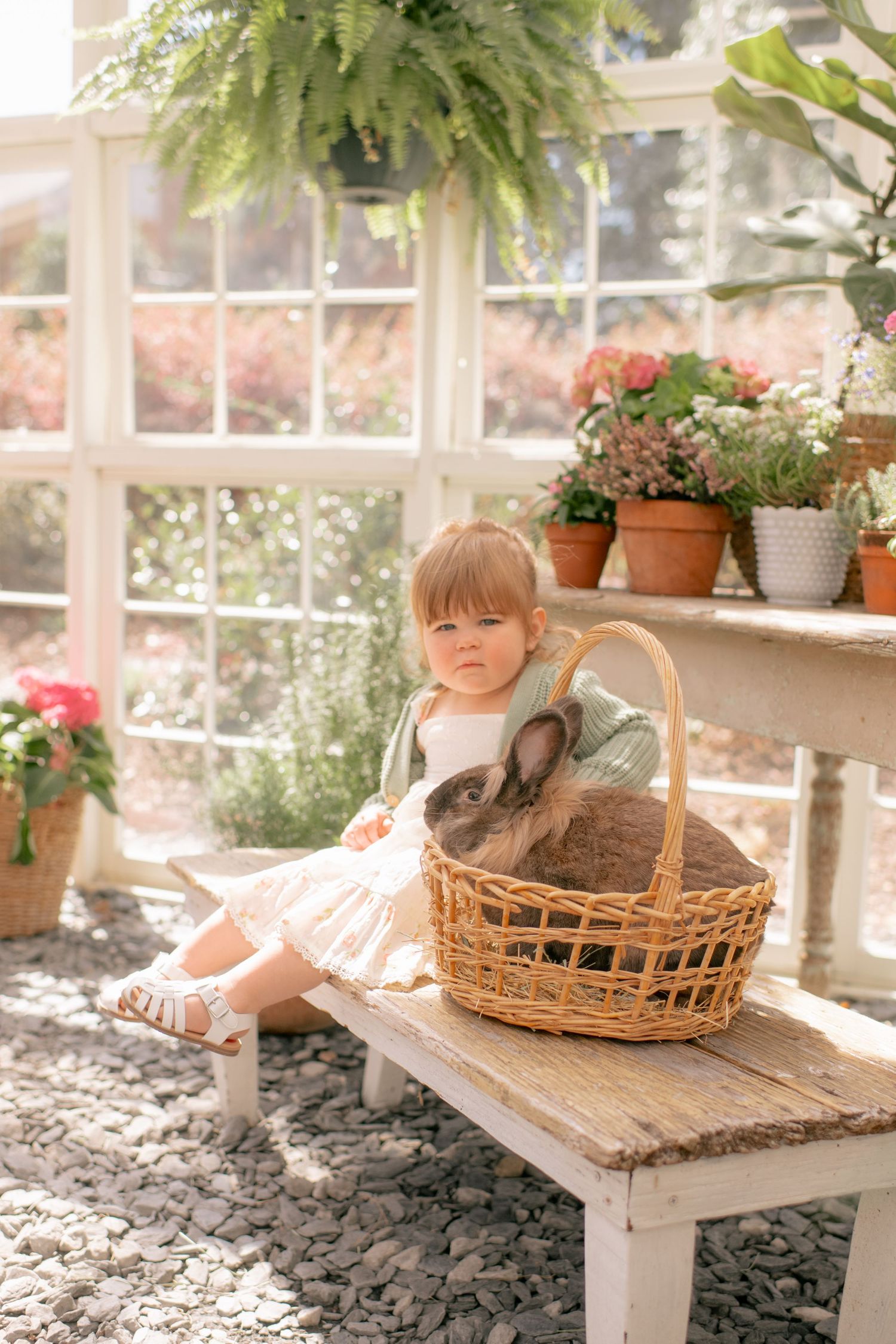 A child sits on a rustic wooden bench in a sunlit greenhouse with potted plants and a wicker basket beside them.