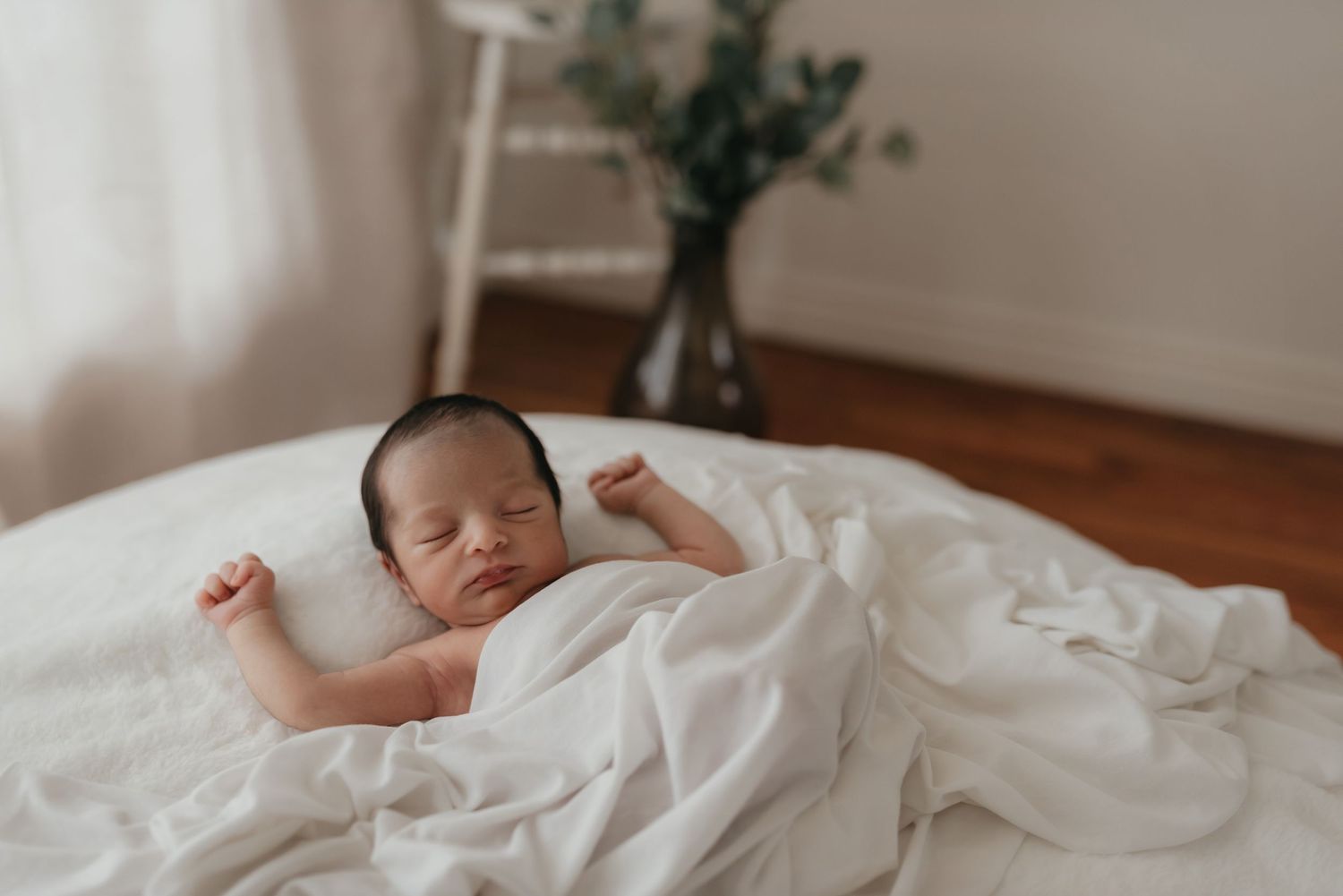 Posed newborn in studio session natural light