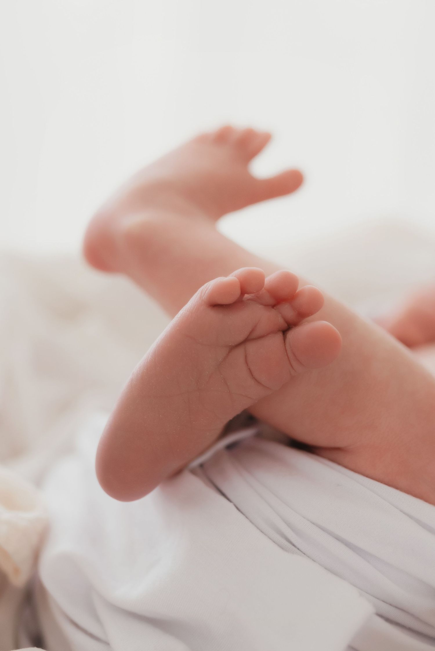 Newborn posed in studio session detail image