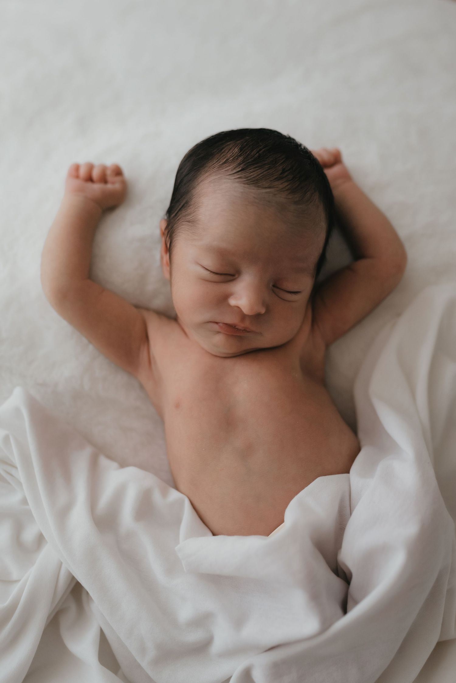 Posed newborn session in studio
