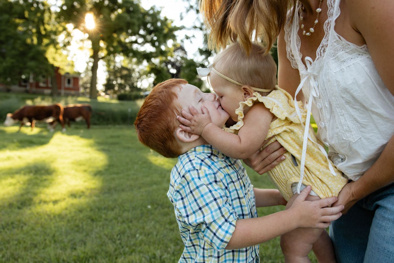 Family sharing tender moments together in a sunlit park setting.