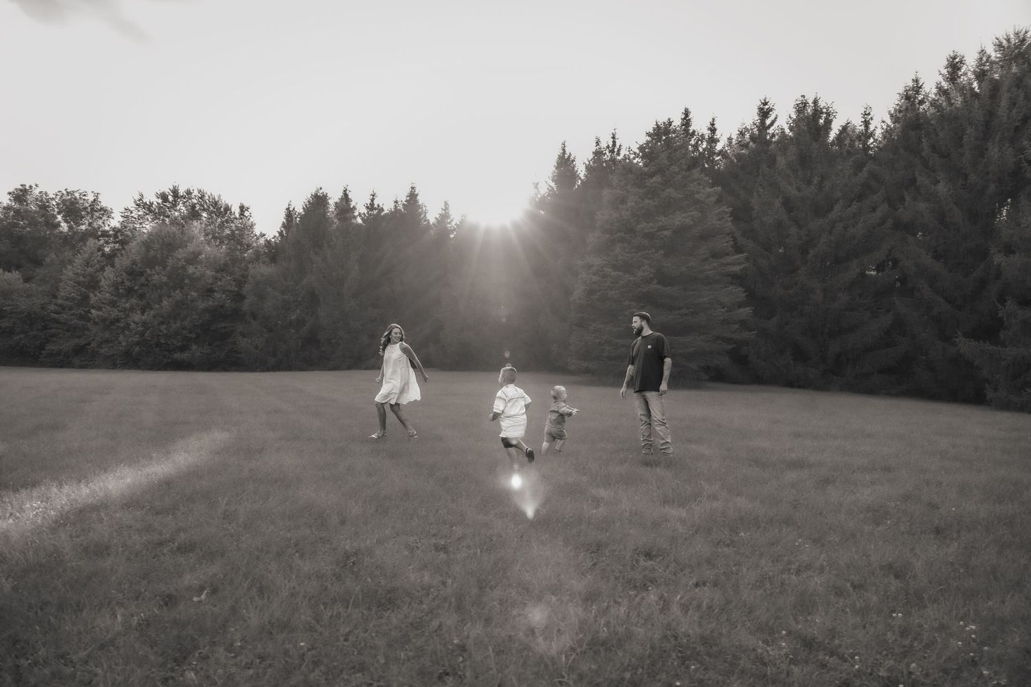A black and white photo captures silhouettes playing in a sunlit field with pine trees in the background.