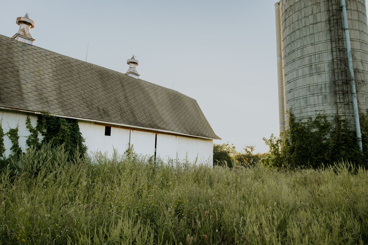 A rustic barn and silo stand in a grassy field with overgrown vegetation in the foreground.