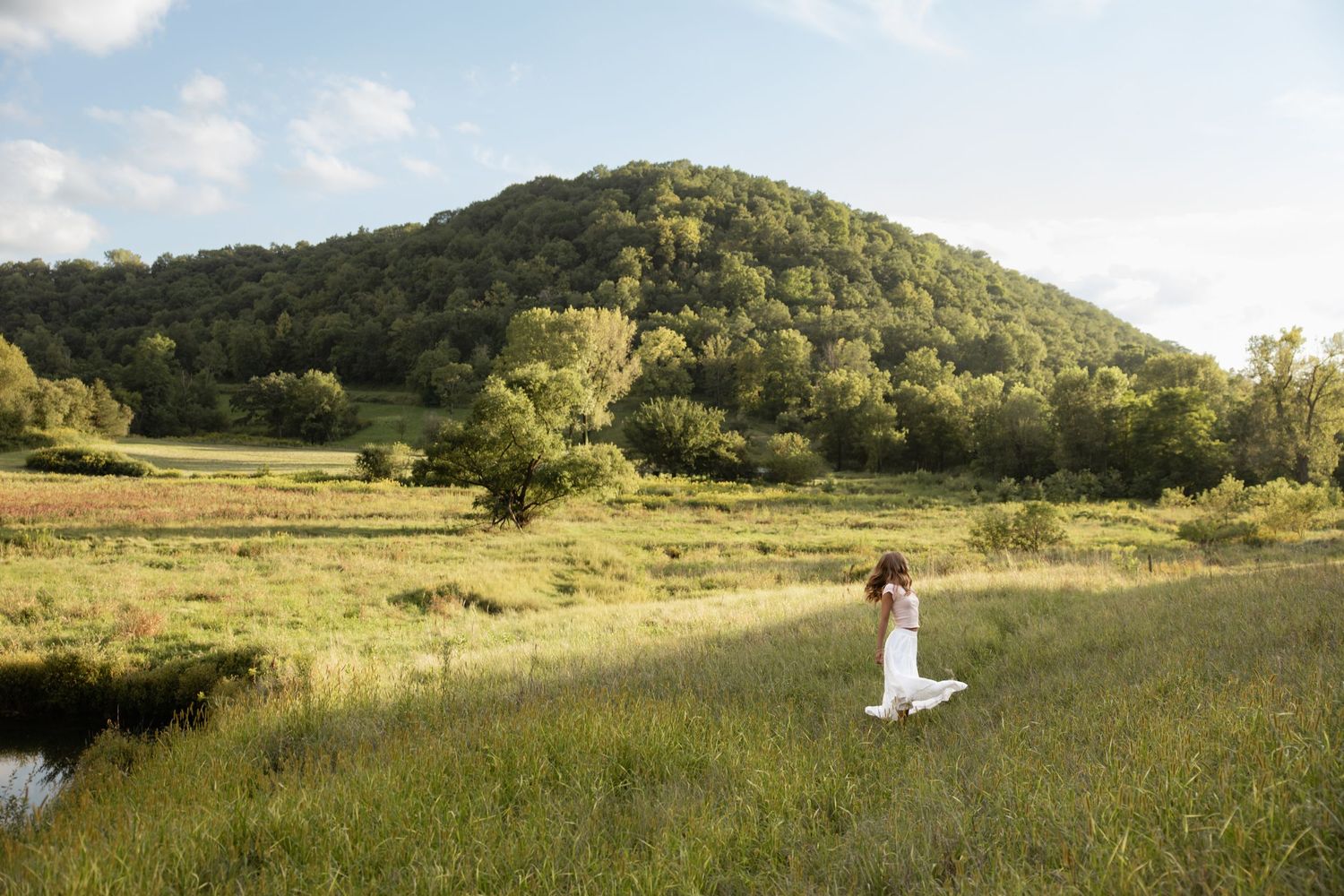 Rolling green hills and meadows stretch into the distance on a sunny summer afternoon.