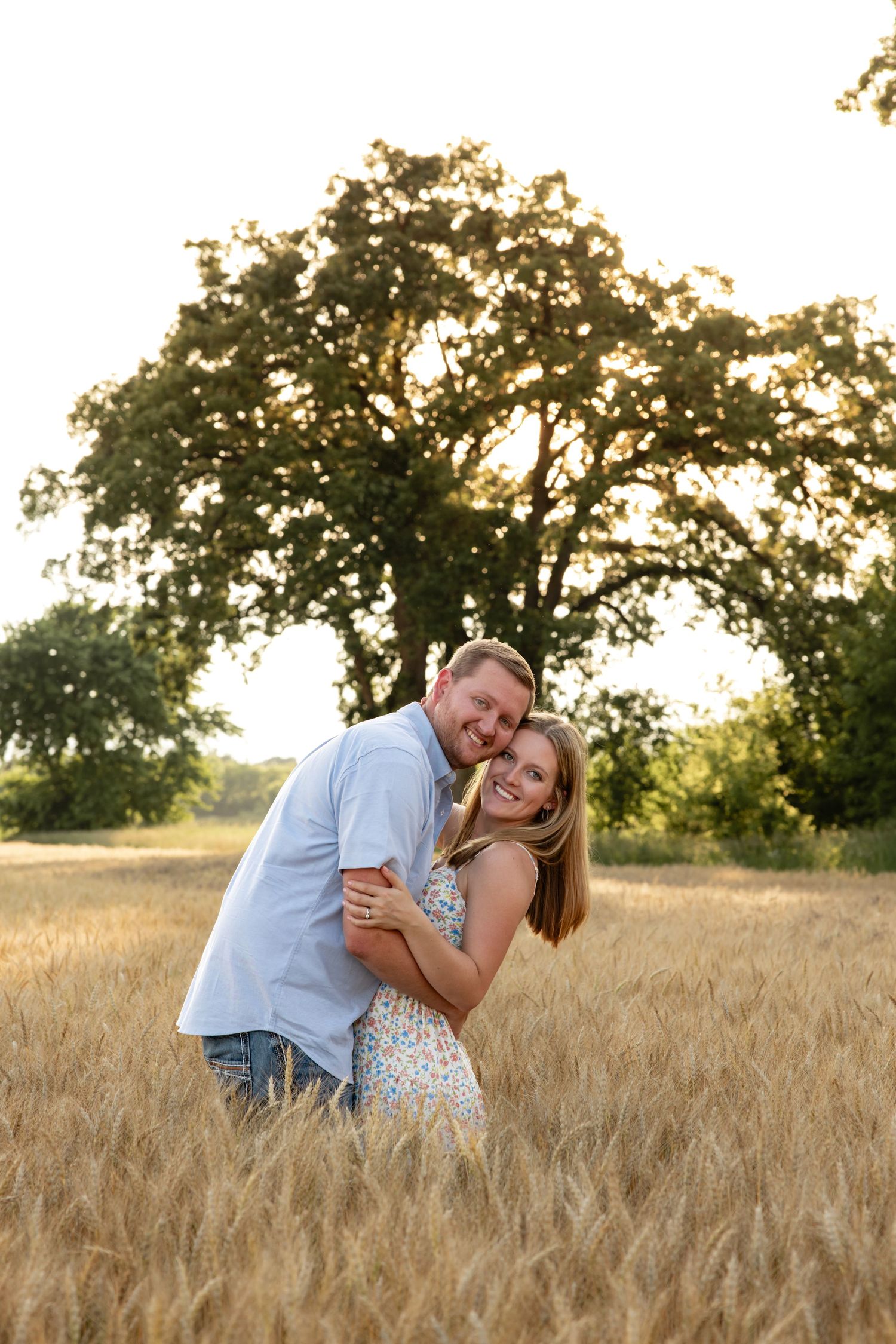 A romantic couple embraces in a golden wheat field at sunset with a large tree in the background.
