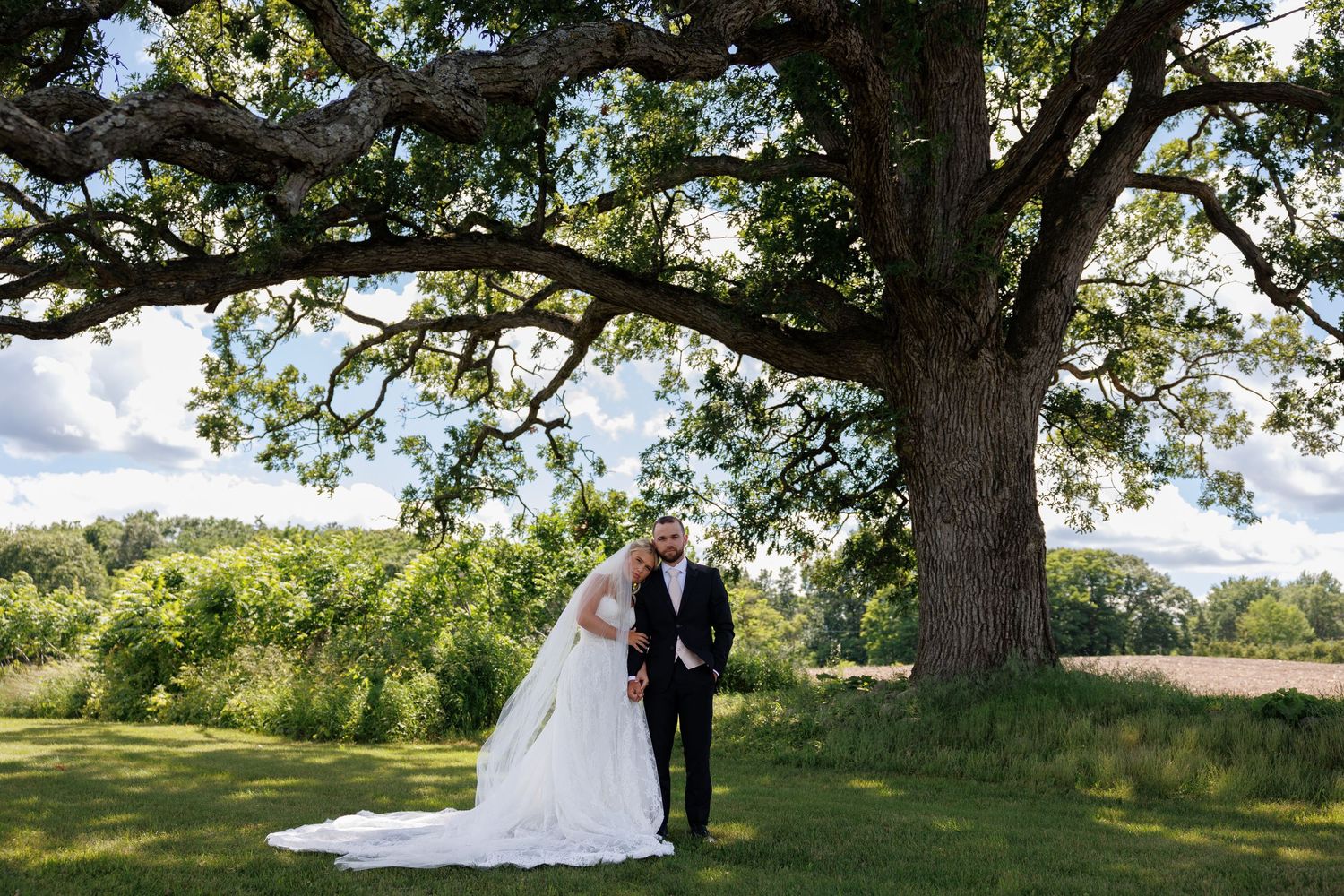 Bride and groom stand hand in hand beneath a massive oak tree on lush green grounds on their wedding day.