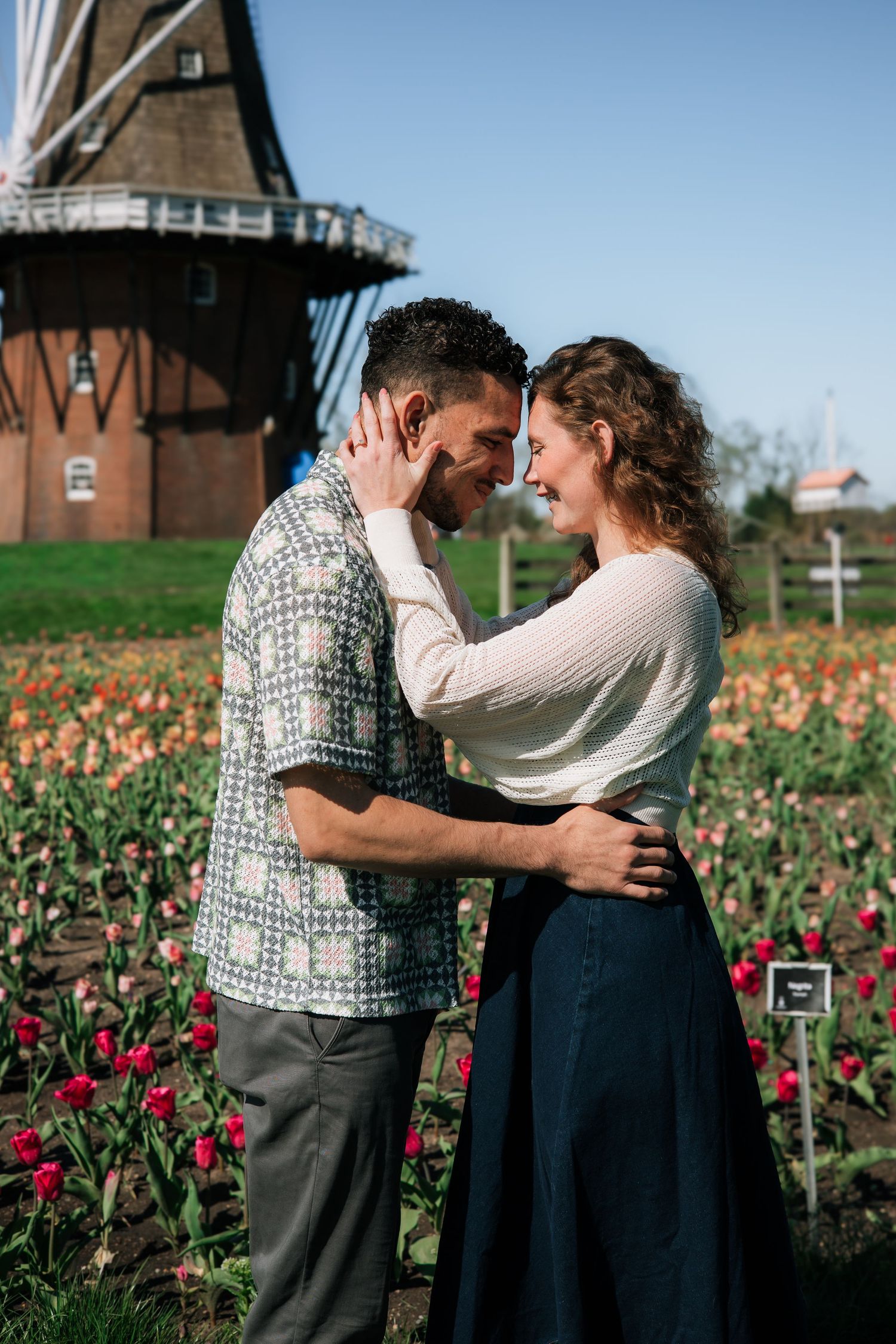 Couple embracing and smiling in a vibrant tulip field with a classic windmill in the background.