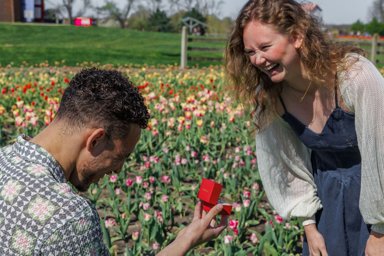 Man kneeling to propose with a red ring box as a laughing woman leans in, surrounded by blooming tulips.