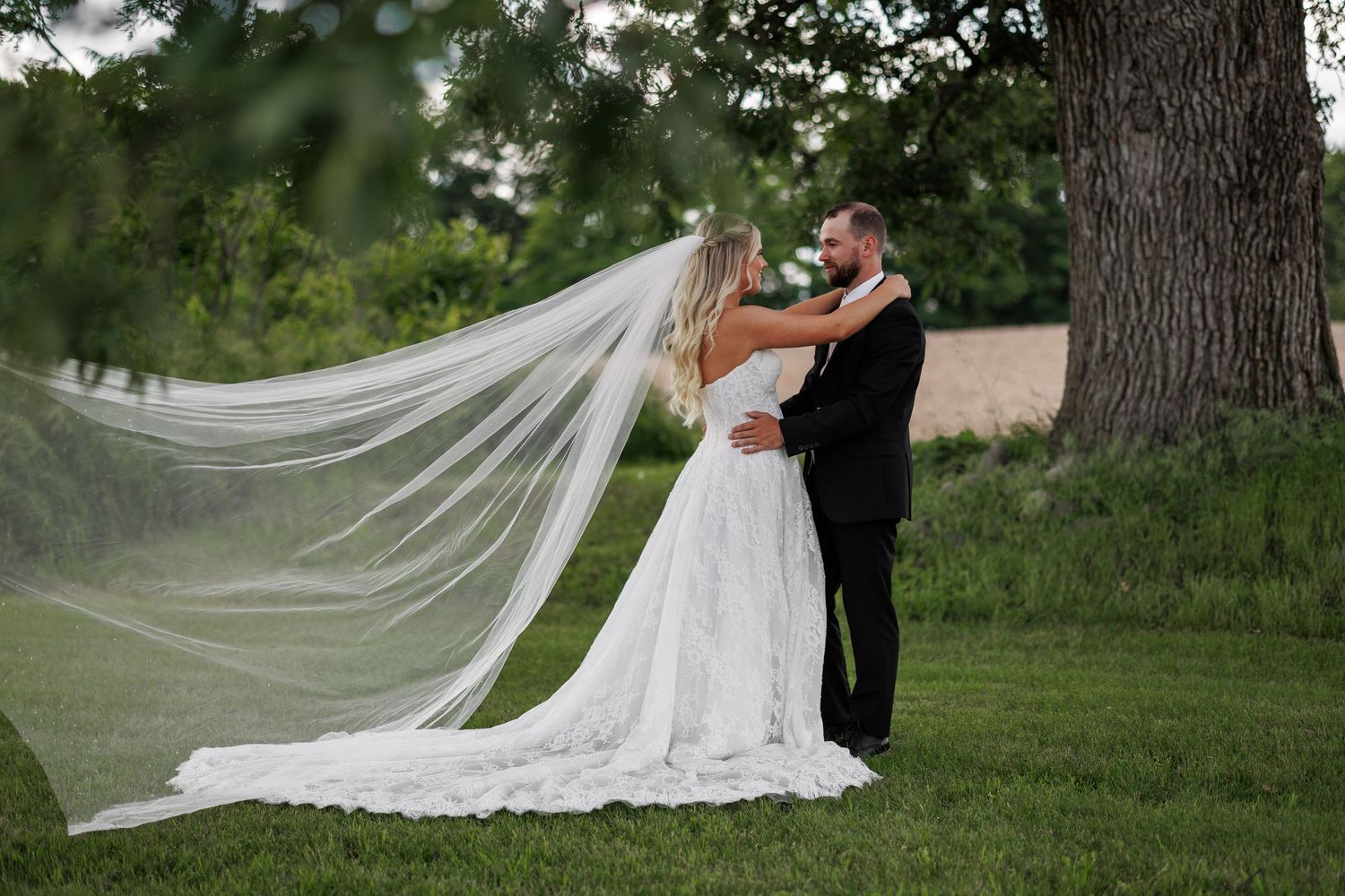 Bride and groom embrace outdoors near a large tree, her flowing veil trailing across the green grass on their wedding day.