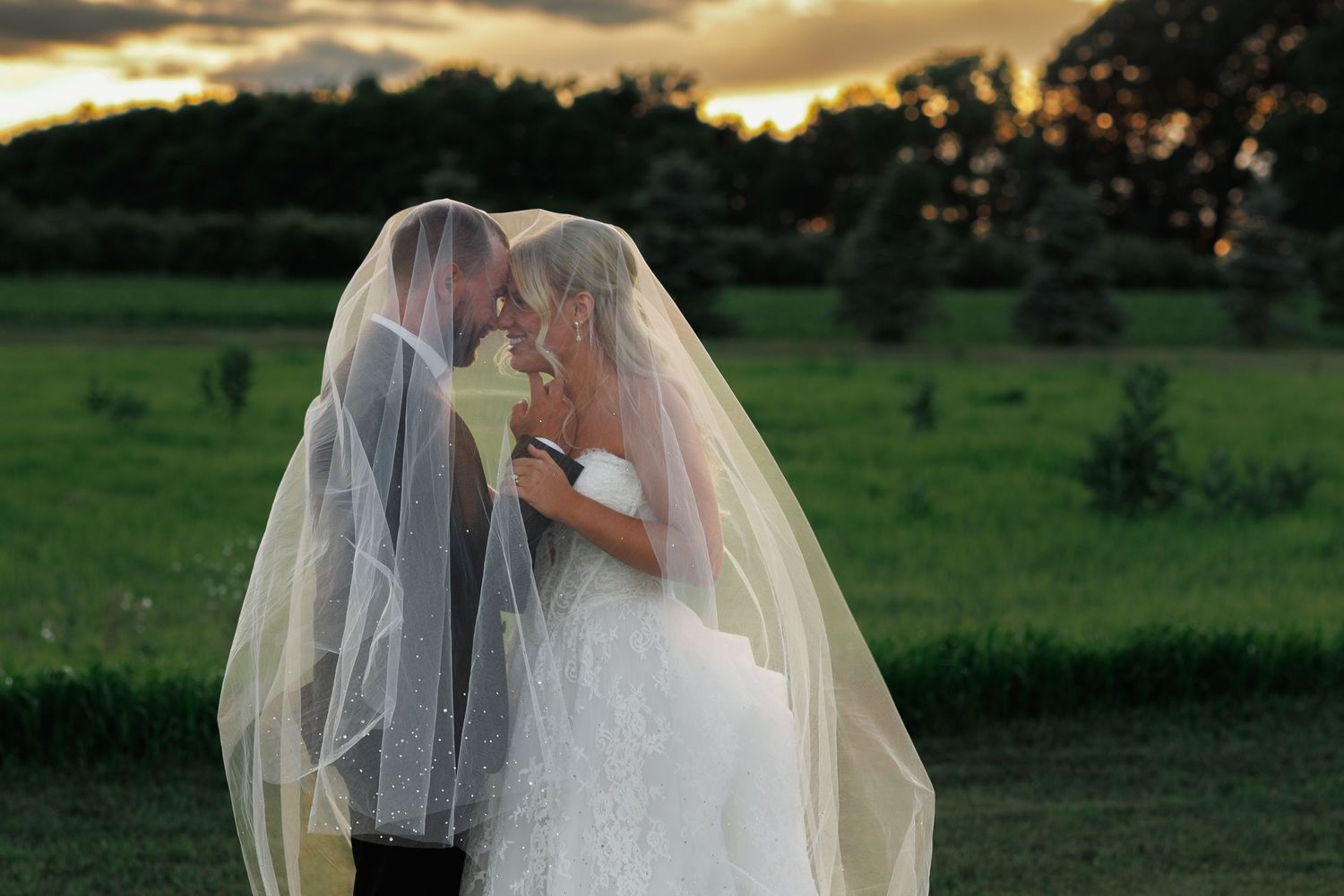 Bride and groom sharing a romantic kiss under a flowing white veil in a lush green field at sunset.