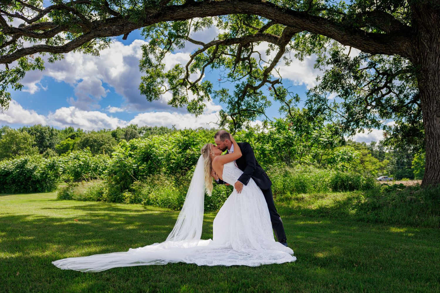 Bride and groom share a romantic kiss under a large oak tree on a sunny day with lush green landscape.