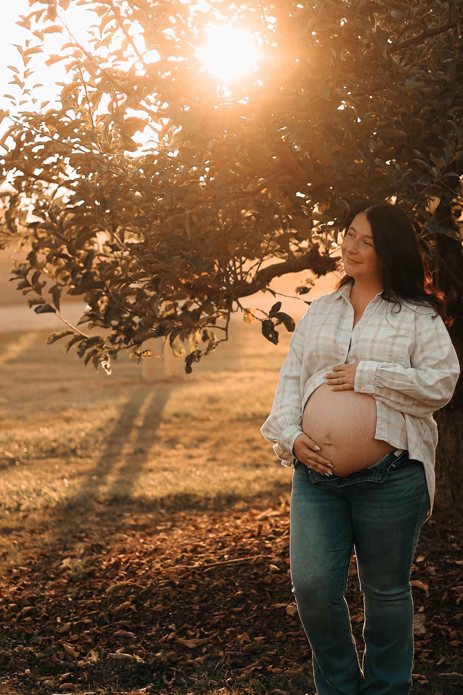 Pregnant woman in open plaid shirt holding baby bump while standing under apple tree in glowing sunset light.