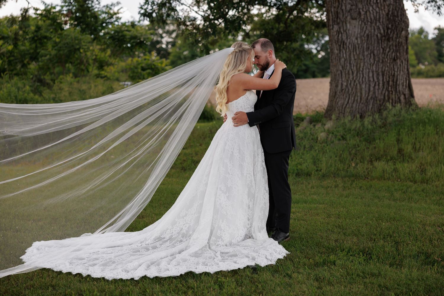Bride and groom share a kiss outdoors near a large tree, with her long white veil flowing in the breeze.