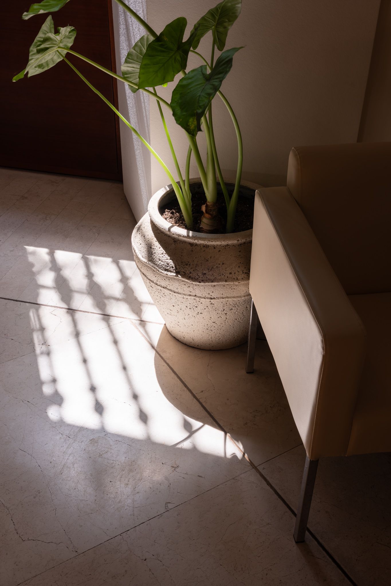 Fotografía de arquitectura e interiorismo
