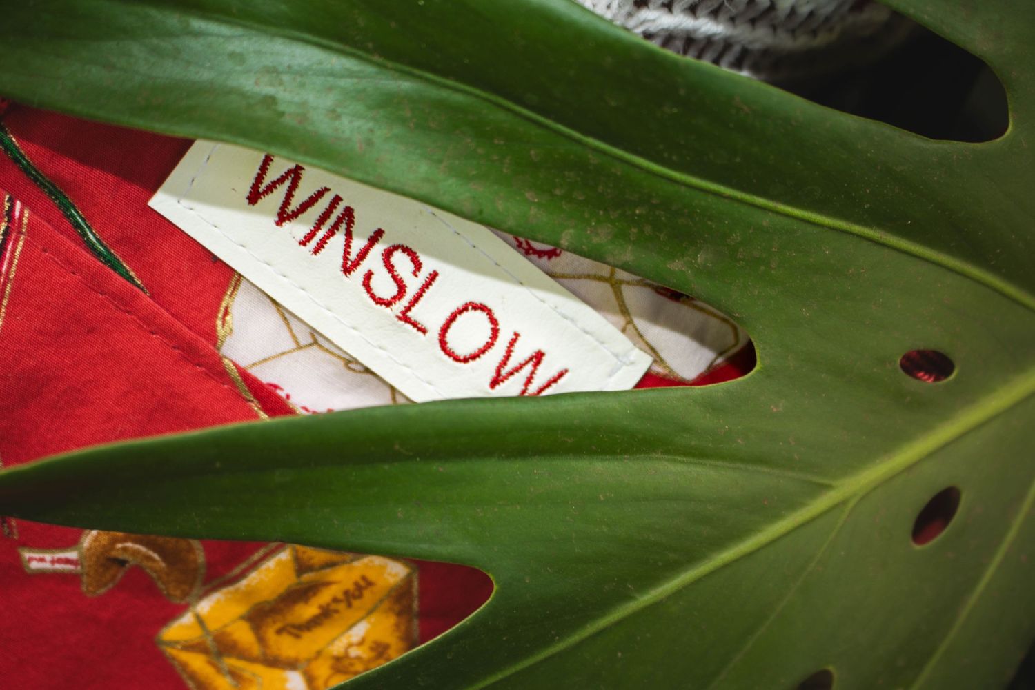 Winslow brand label on a red patterned tote bag seen through a monstera leaf hole.