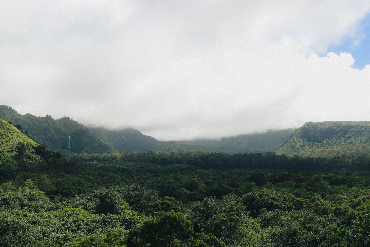 Panoramic view of a lush green Hawaiian valley surrounded by cloud-covered mountain ridges.