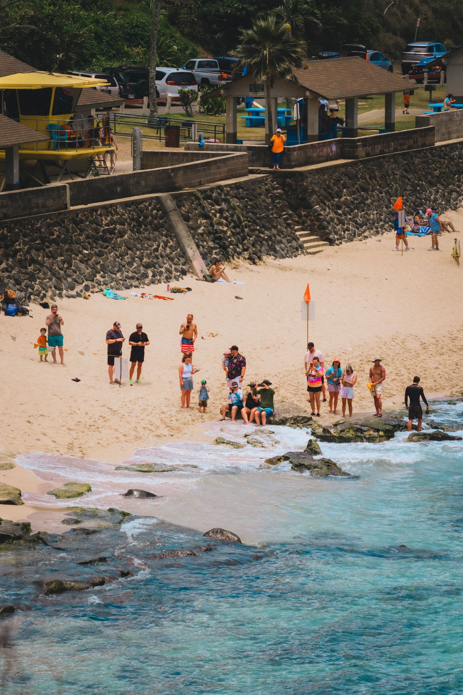 Tourists gather on a rocky Hawaiian beach shoreline with turquoise waters, sand, and beachside facilities in the background.