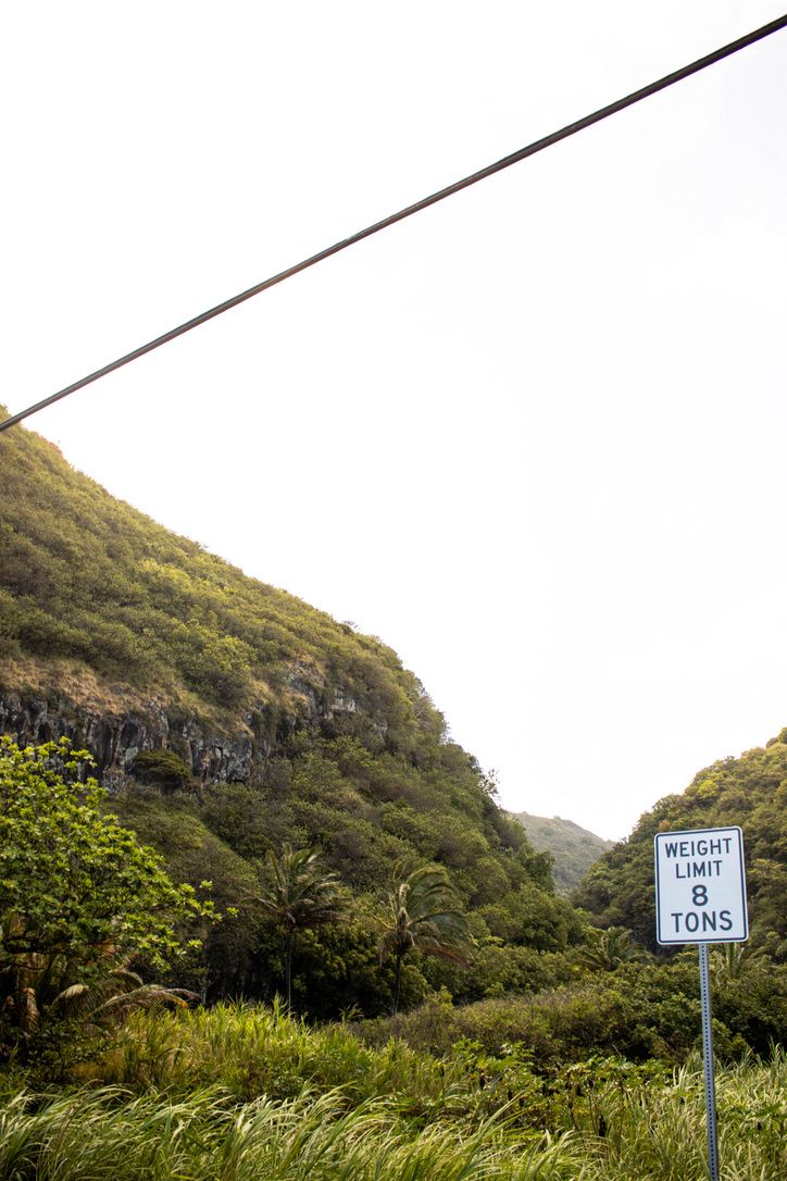 Weight limit 8 tons road sign stands before lush green tropical mountain hillside under overcast sky.