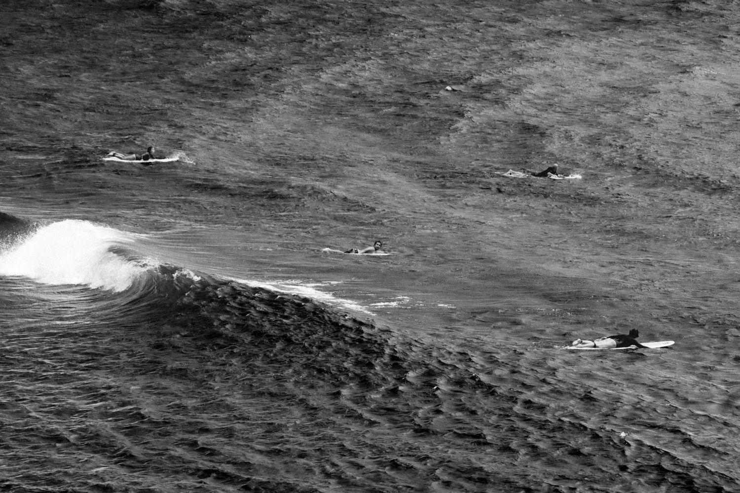 Black and white aerial view of surfers riding ocean waves in open water.