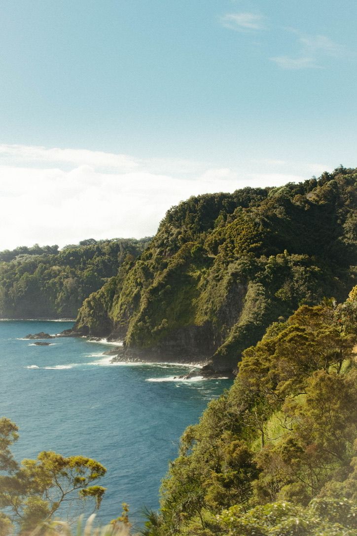 Scenic coastal cliffside with lush green trees overlooking blue ocean waters.