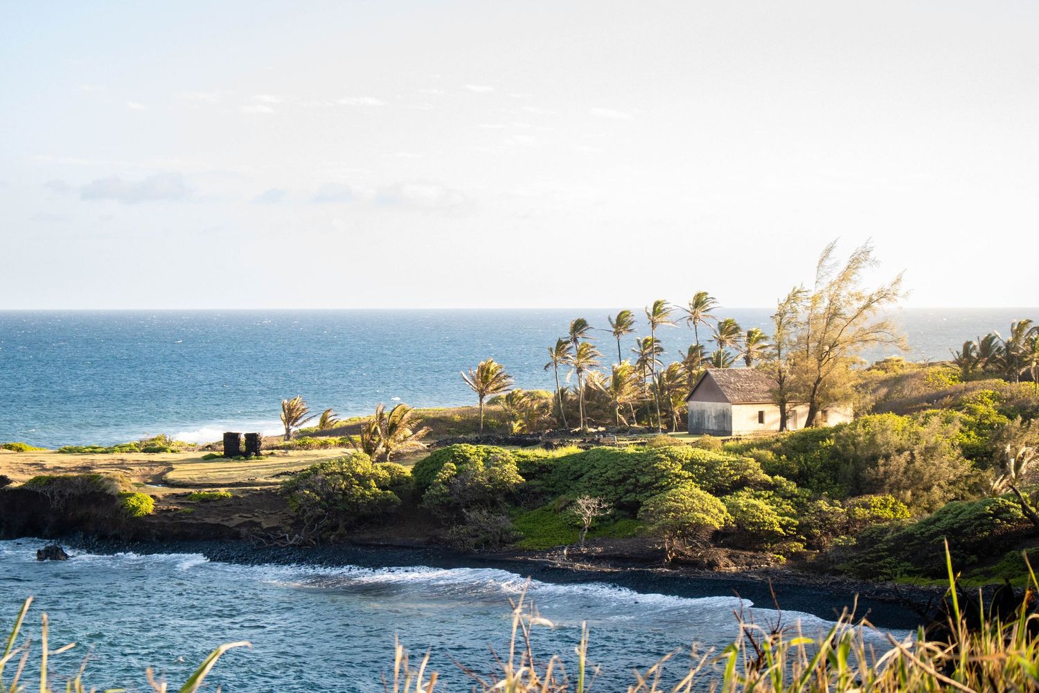 Tropical coastal landscape with a white cottage surrounded by palm trees overlooking a rocky shoreline and calm blue ocean.