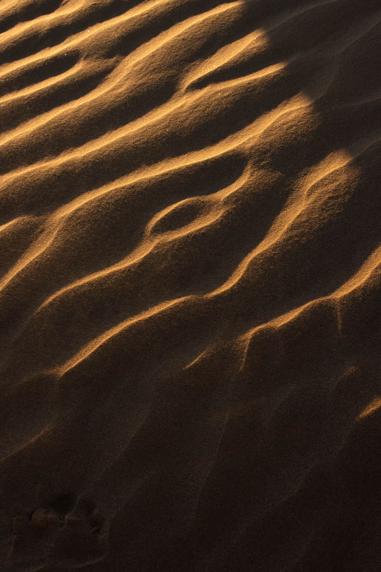 Abstract close-up of golden sand dune ripples casting dramatic shadows in warm sunlight.