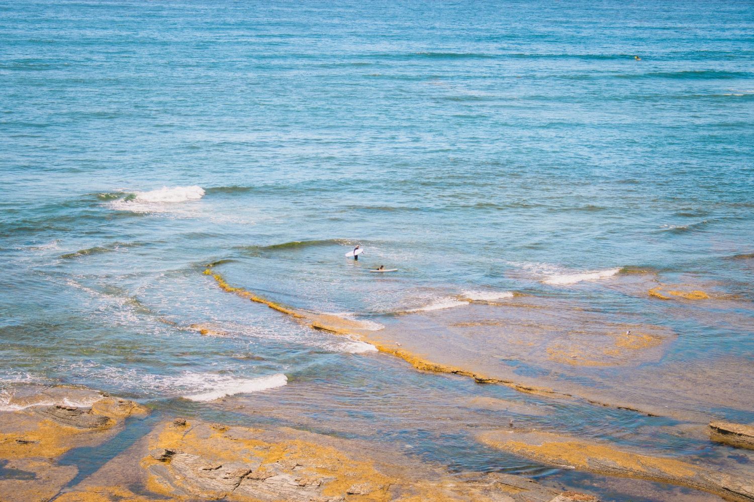 Shallow turquoise ocean waves washing over rocky sandy shoreline with a seagull standing in the water.