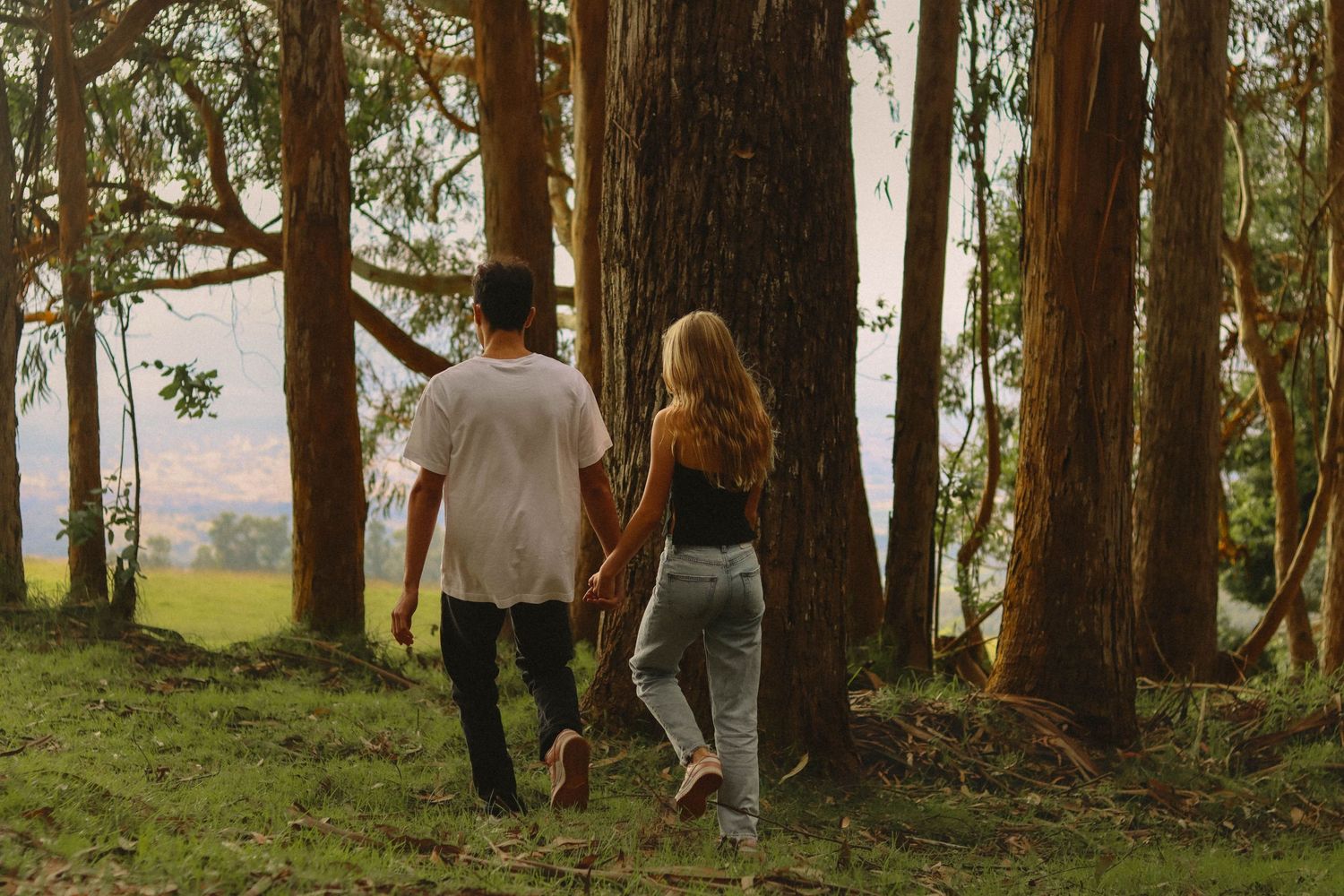 Couple walking hand in hand through a sunlit forest with tall trees.