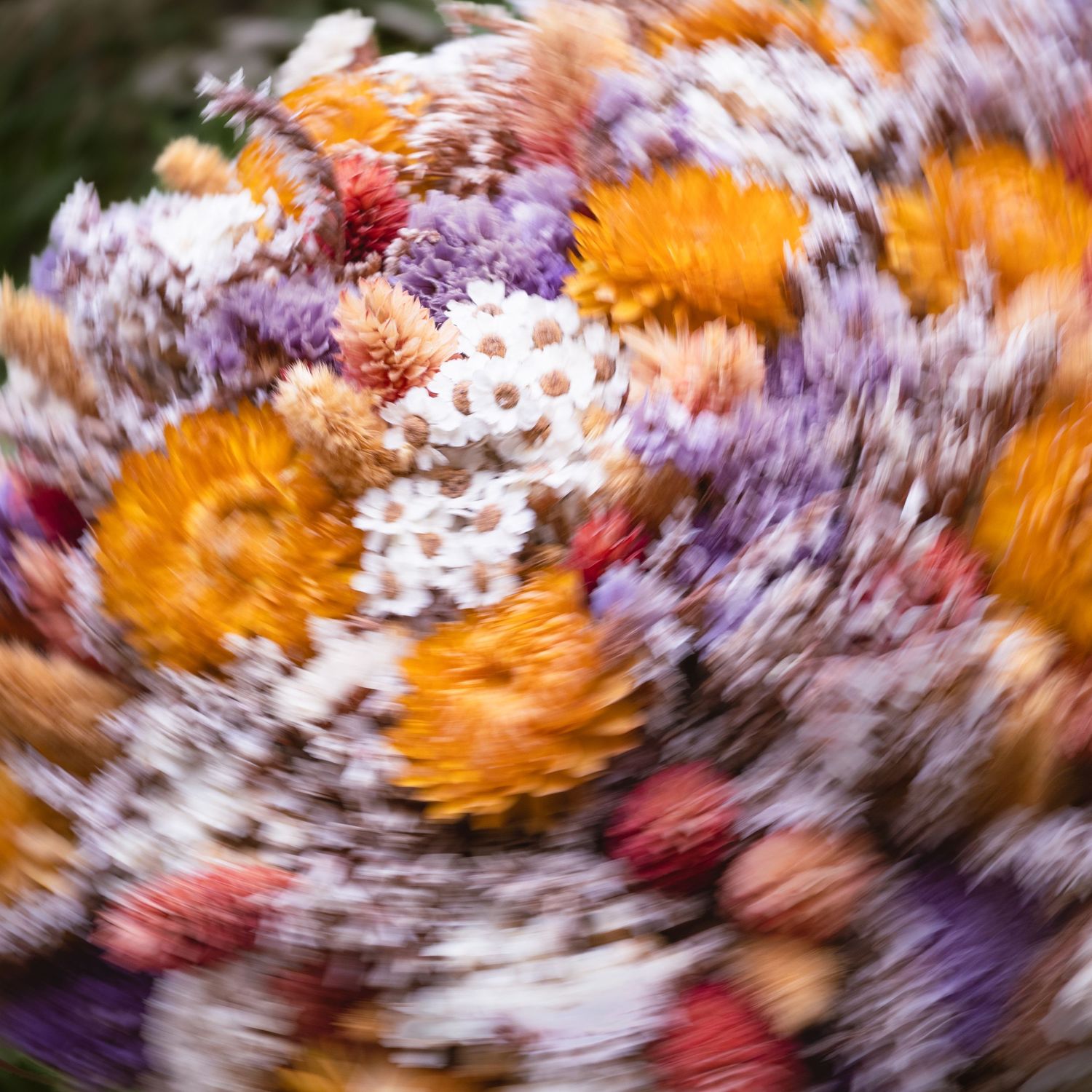 Abstract swirling motion blur of colorful orange, purple, and white dried flowers.