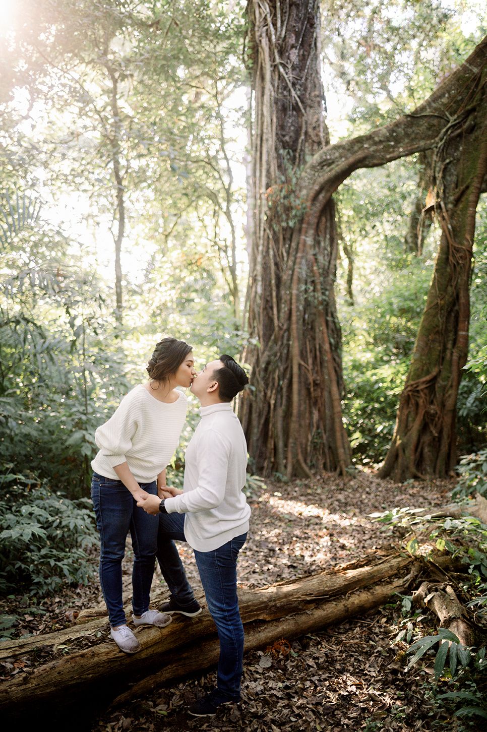 Couple sharing a romantic kiss on a fallen log in a lush green forest with sunlight filtering through tall trees.
