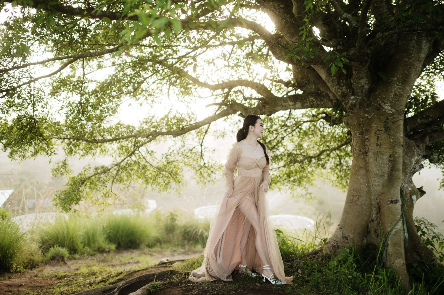 A bride in a flowing blush gown stands gracefully beneath a large tree in a misty, lush outdoor setting.