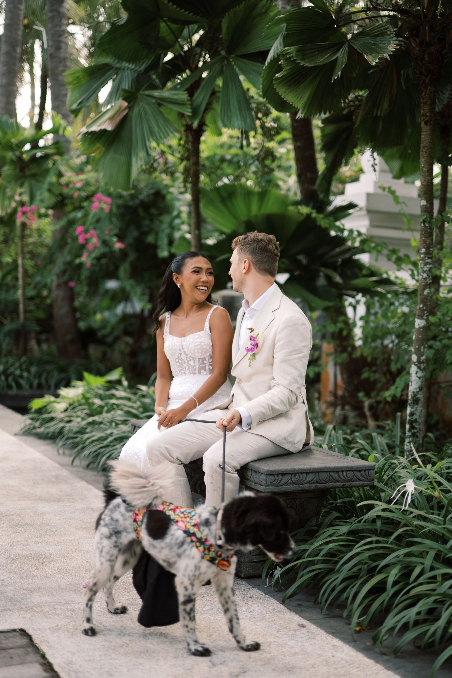 Bride and groom sit on a bench surrounded by lush tropical greenery, smiling at each other with a spotted dog nearby.