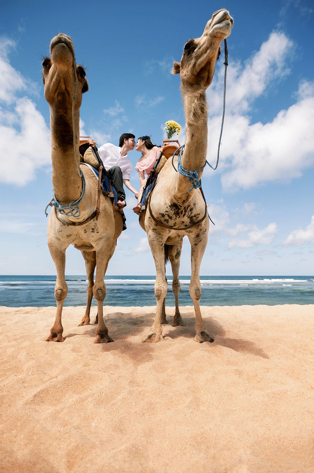Couple kissing on camels on a sandy beach with blue ocean and sky backdrop.