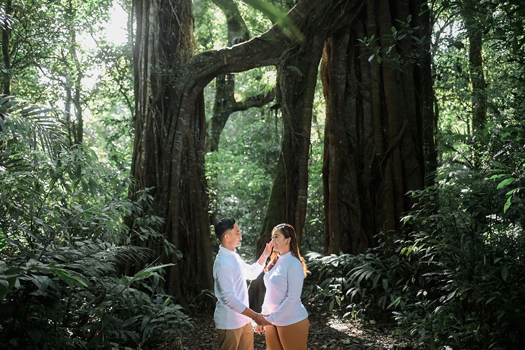 Couple holding hands in a lush tropical forest beside a massive ancient tree with sunlight filtering through.