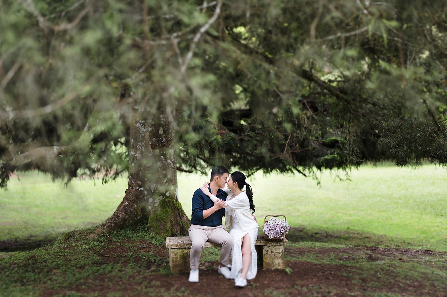 Couple sharing a romantic moment on a stone bench under a large tree in a lush green park.